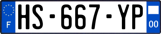HS-667-YP
