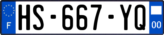 HS-667-YQ