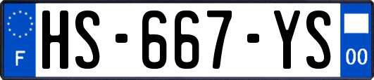 HS-667-YS