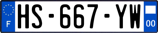 HS-667-YW