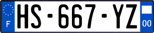HS-667-YZ