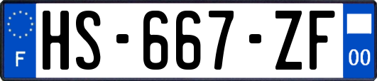 HS-667-ZF