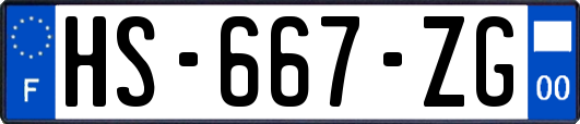 HS-667-ZG