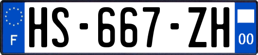 HS-667-ZH