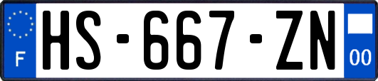HS-667-ZN