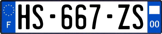 HS-667-ZS