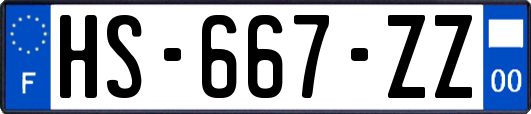 HS-667-ZZ