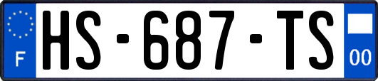 HS-687-TS