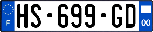 HS-699-GD