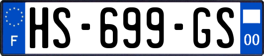 HS-699-GS