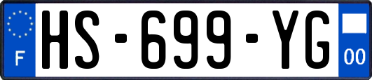 HS-699-YG
