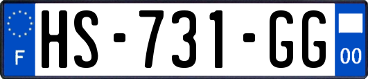 HS-731-GG