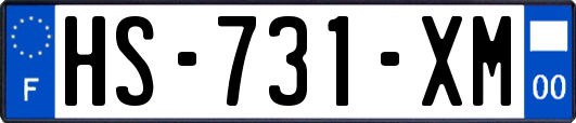 HS-731-XM