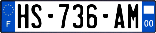 HS-736-AM