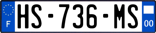 HS-736-MS