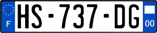 HS-737-DG