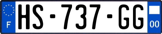 HS-737-GG