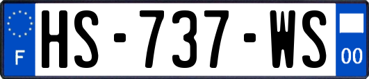 HS-737-WS
