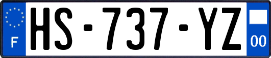 HS-737-YZ