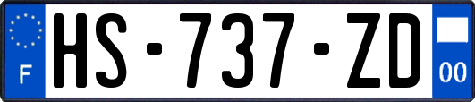 HS-737-ZD