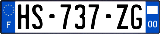HS-737-ZG