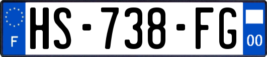 HS-738-FG