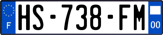 HS-738-FM