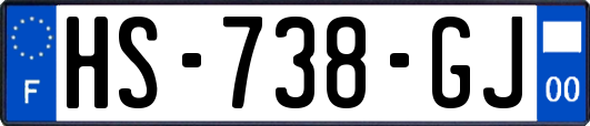 HS-738-GJ