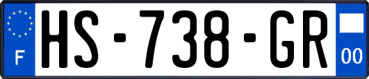 HS-738-GR