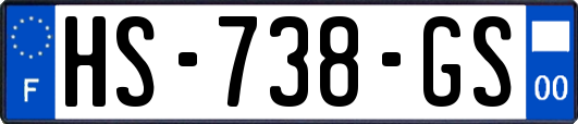 HS-738-GS