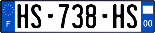 HS-738-HS