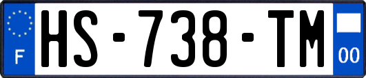 HS-738-TM