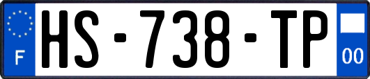 HS-738-TP