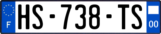 HS-738-TS
