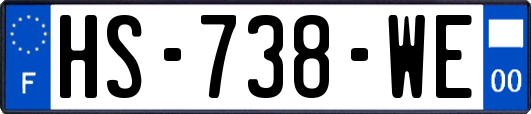 HS-738-WE