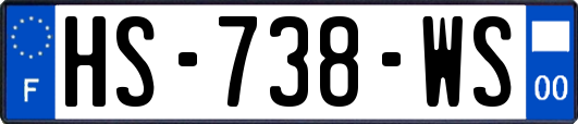 HS-738-WS