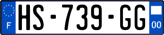 HS-739-GG