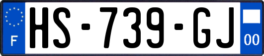 HS-739-GJ