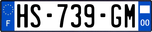 HS-739-GM