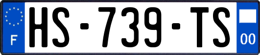 HS-739-TS
