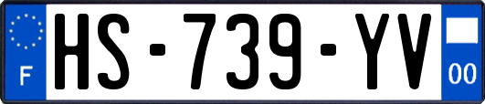 HS-739-YV
