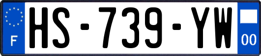 HS-739-YW