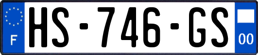 HS-746-GS