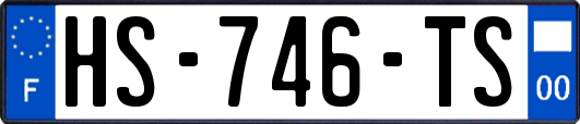 HS-746-TS