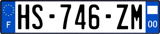 HS-746-ZM