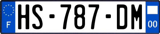 HS-787-DM