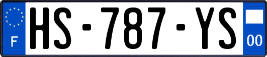 HS-787-YS