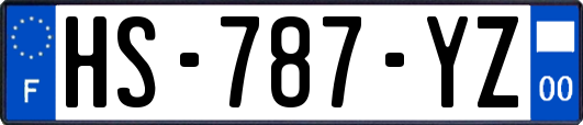 HS-787-YZ
