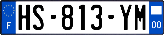 HS-813-YM