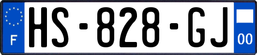 HS-828-GJ